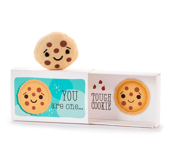 Cookie Pocket Hug w/Gift Box